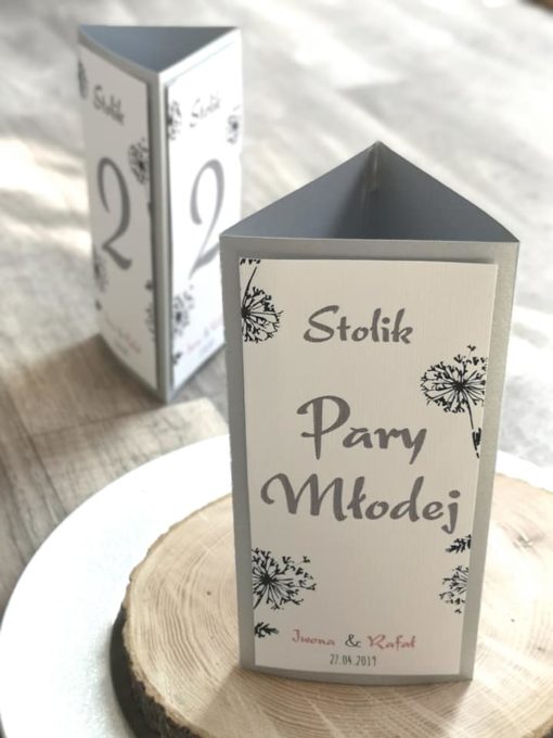 60865928_1318560651626512_4274563272176304128_n