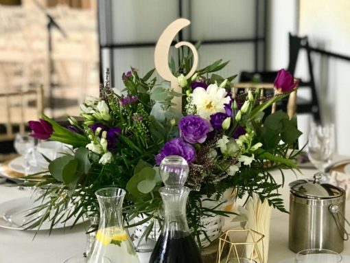 80856565_1037159083308592_6717326690575450112_n