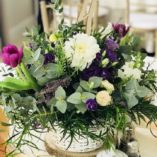 80897405_1460270210804552_6544369323933171712_n