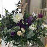 81465124_574193503142894_3422058688221806592_n