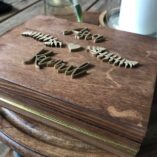 120071152_1433881140150172_5794724940341049926_n