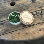 120082780_378105169883264_600761192391180846_n